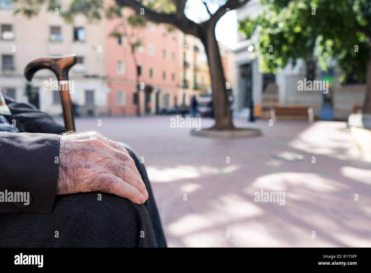 closeup an old caucasian man, sitting in a bench outdoors, with a walking stick in his hands Stock Photo