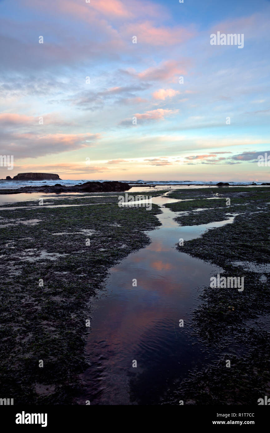 OR02382-00...OREGON - Clouds reflecting in tide pools at sunrise at Devil's Punchbowl State Natural Area near Newport. Stock Photo