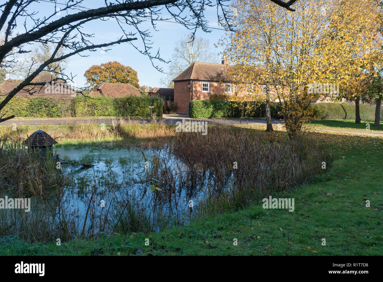 The village pond on The Street in the village of Rotherwick in Hampshire, UK Stock Photo