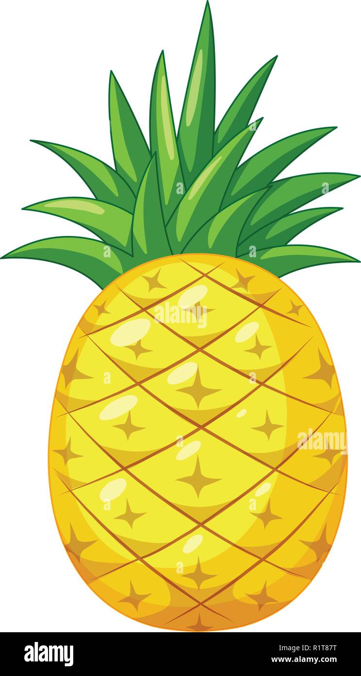 A pineapple on white background illustration Stock Vector Image &amp; Art - Alamy