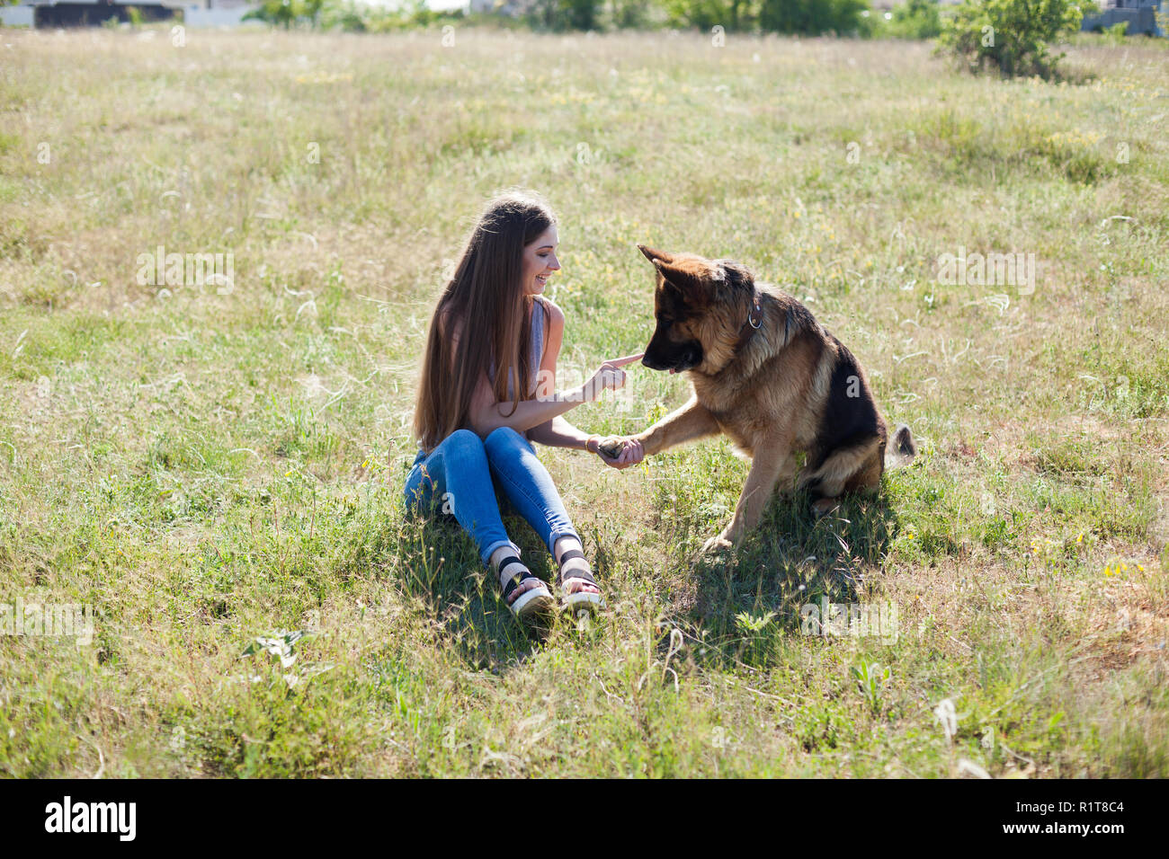 beautiful woman mistress schools dog Sheepdog nice Stock Photo - Alamy