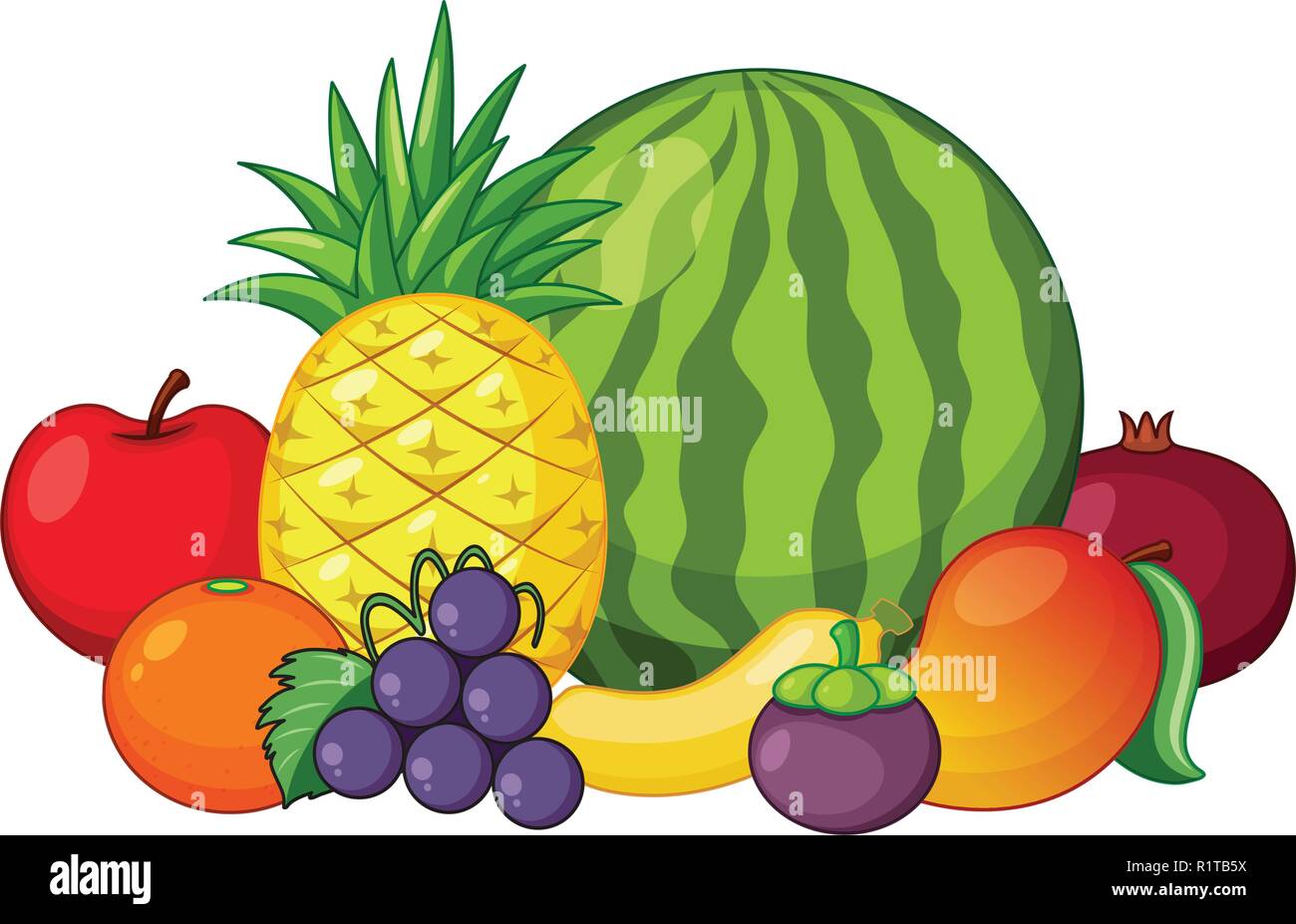 Set of mixed fruit illustration Stock Vector Image & Art Alamy