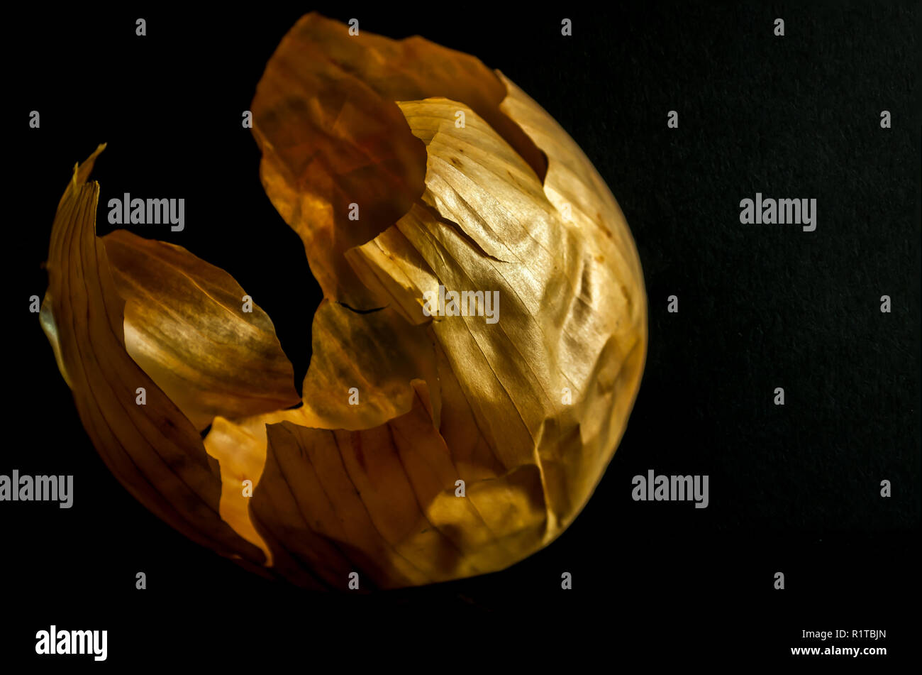 Onion skin hi-res stock photography and images - Alamy