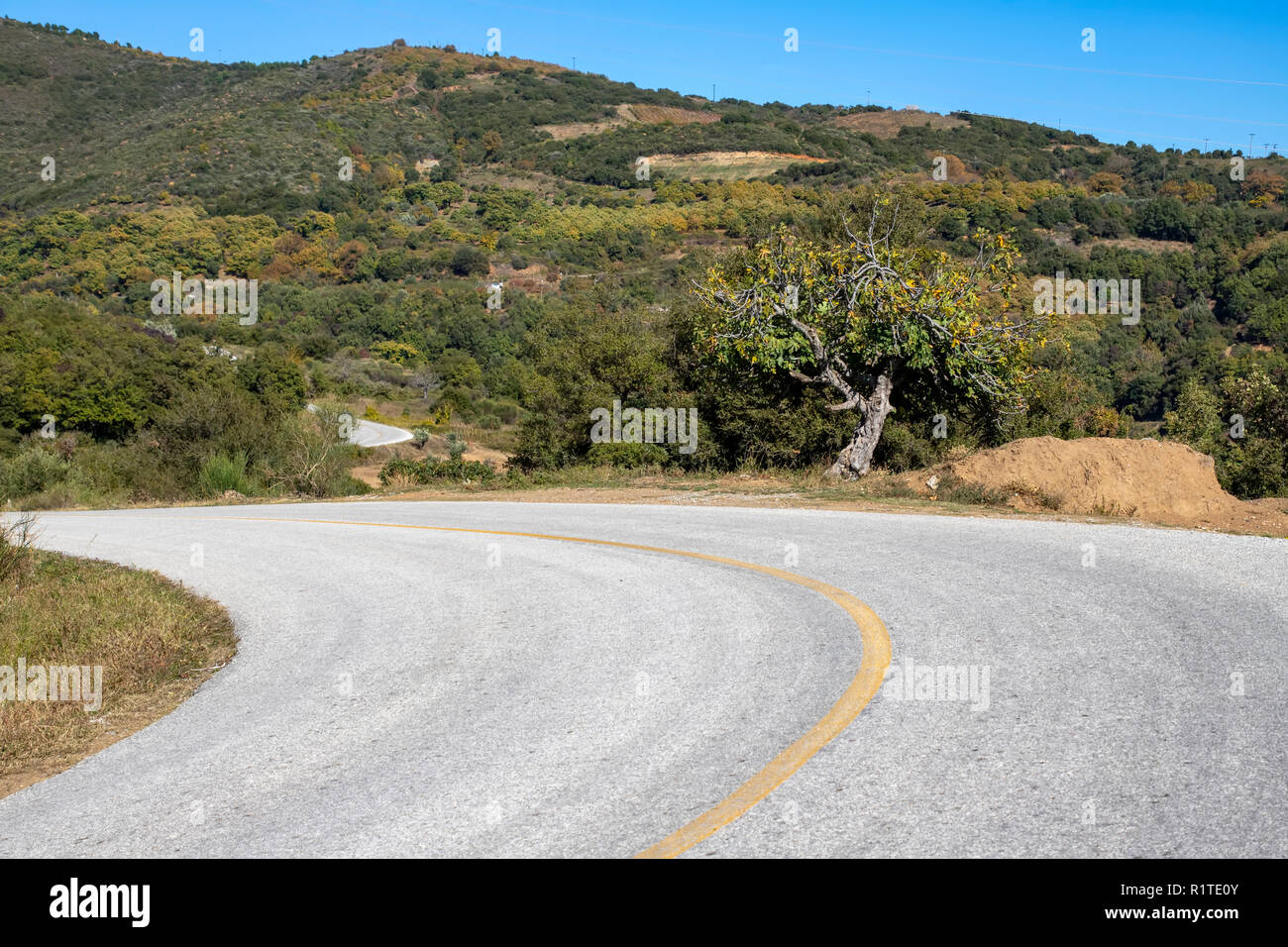 Rural road winding between green hills covered with autumn forest ...