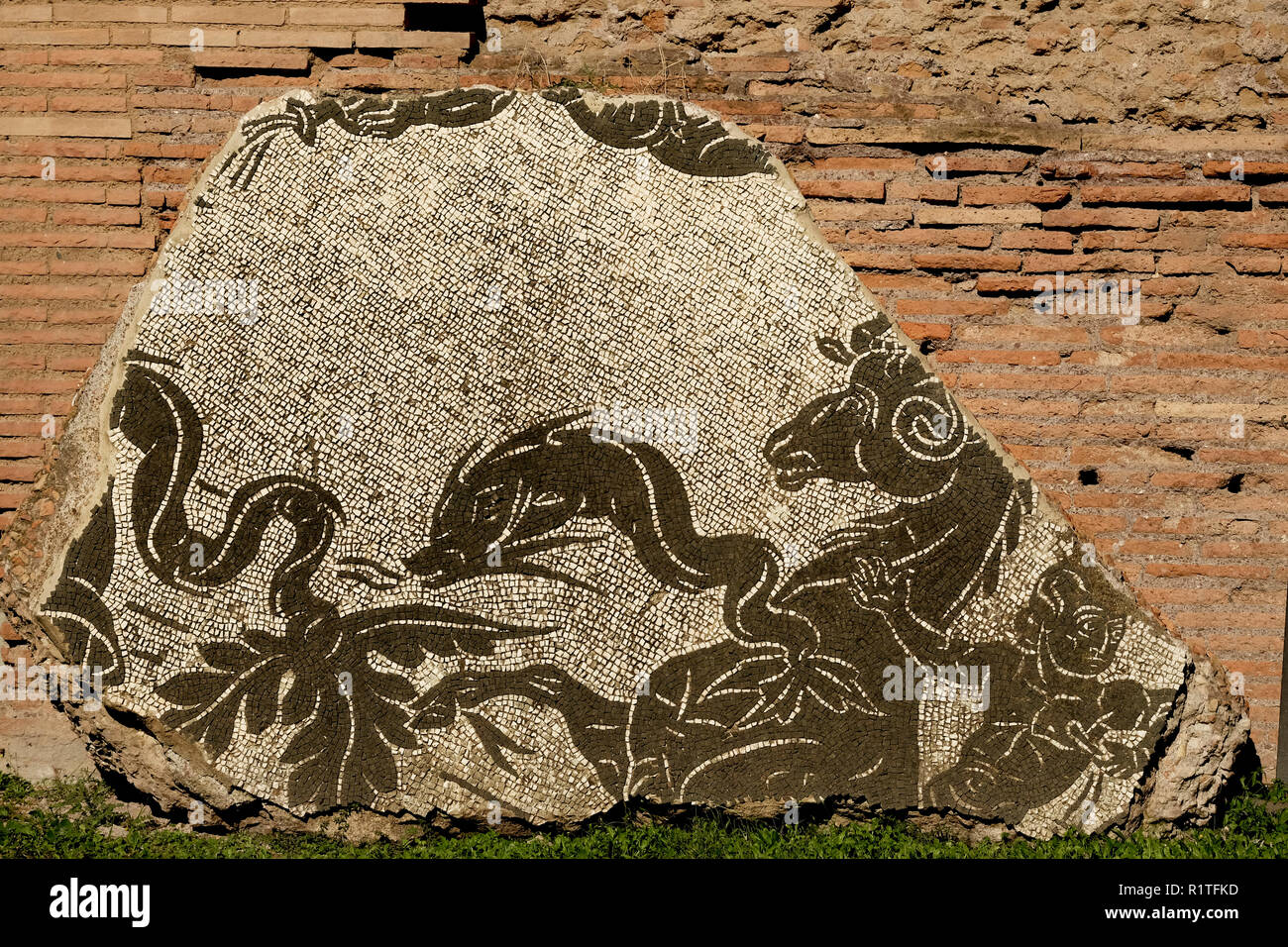 Mosaic at ruins of Baths of Caracalla, (Terme di Caracalla). Roman public baths. Stock Photo