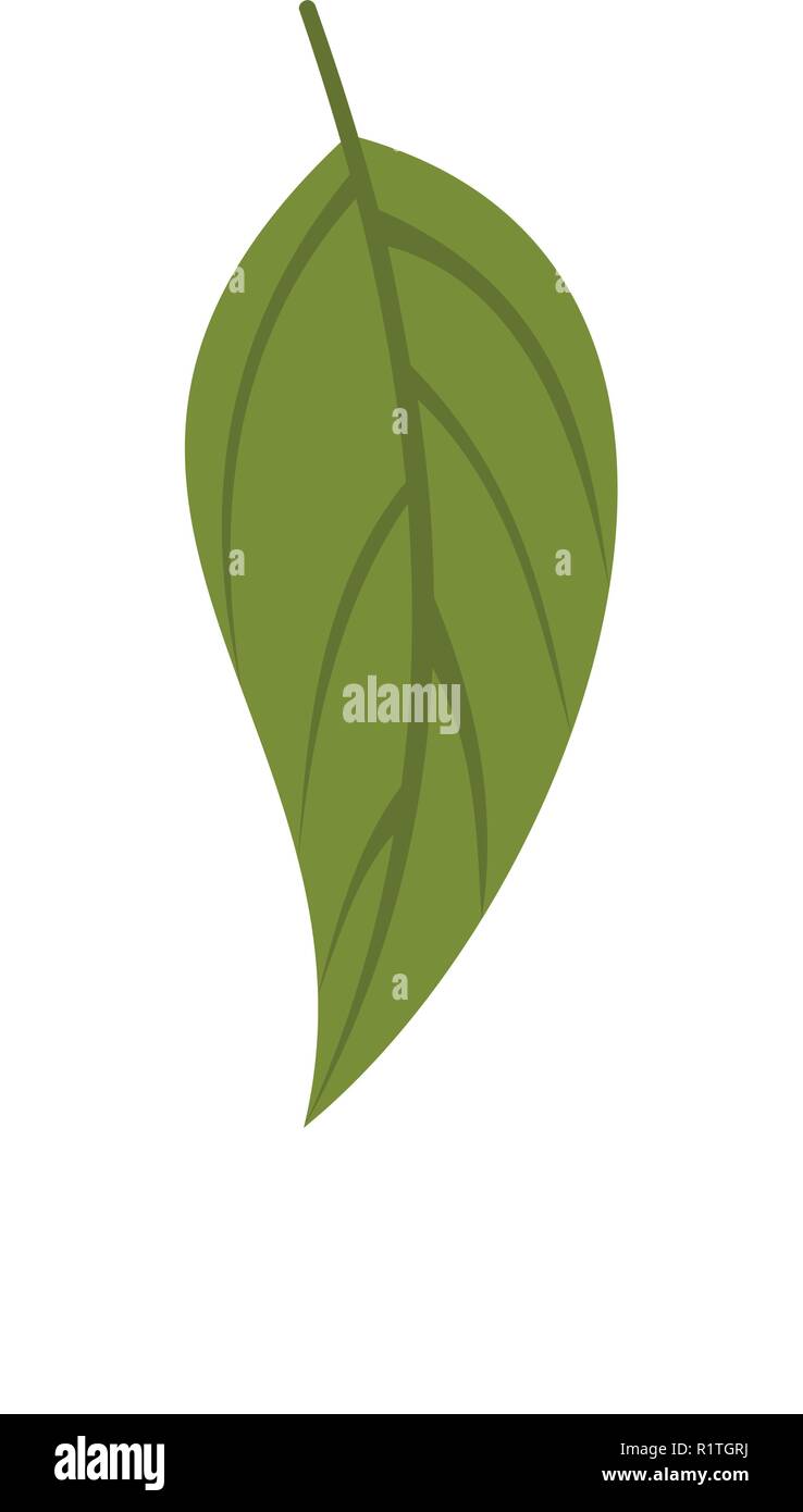 Dogwood leaf icon. Flat illustration of dogwood leaf vector icon isolated on white background Stock Vector