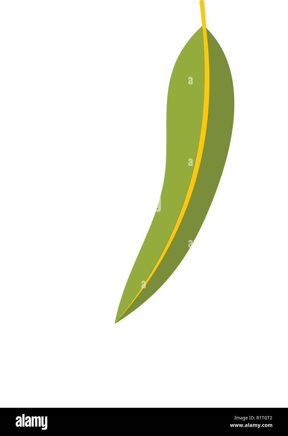 Eucalyptus leaf icon. Flat illustration of eucalyptus leaf vector icon isolated on white background Stock Vector