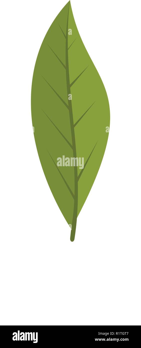 Laurel leaf icon. Flat illustration of laurel leaf vector icon isolated ...