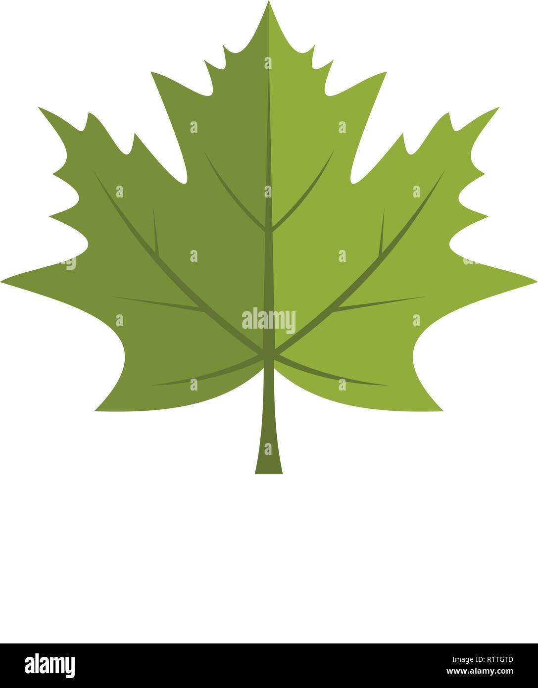 Maple leaf icon. Flat illustration of maple leaf vector icon isolated ...