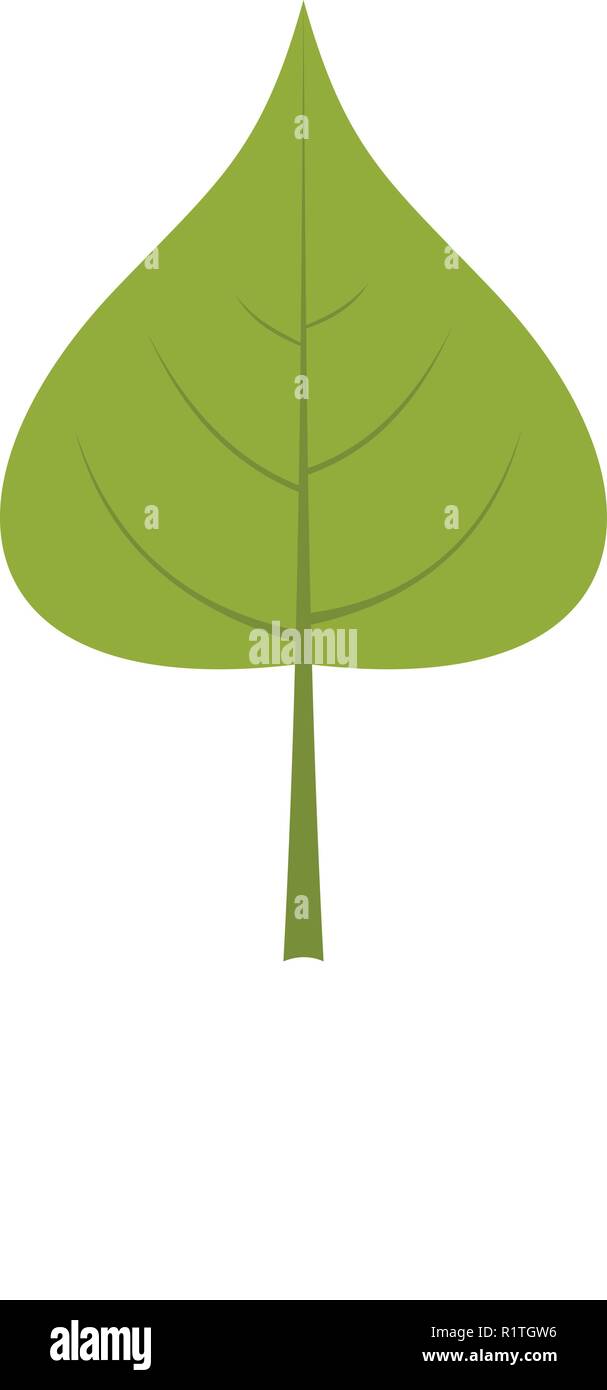 Poplar leaf icon. Flat illustration of poplar leaf vector icon isolated ...