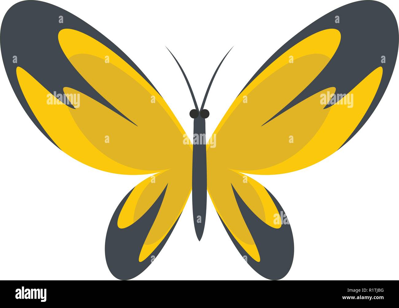 Wide wing butterfly icon. Flat illustration of wide wing butterfly ...