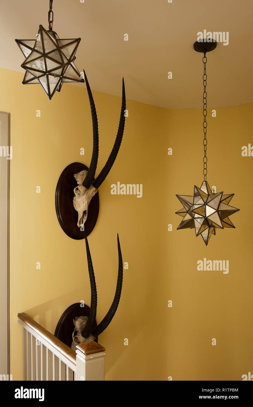 Star shaped pendant lights by antelope hunting trophies Stock Photo