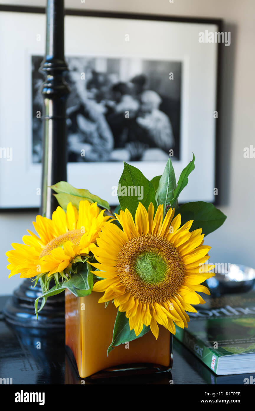 Sunflowers in vase Stock Photo