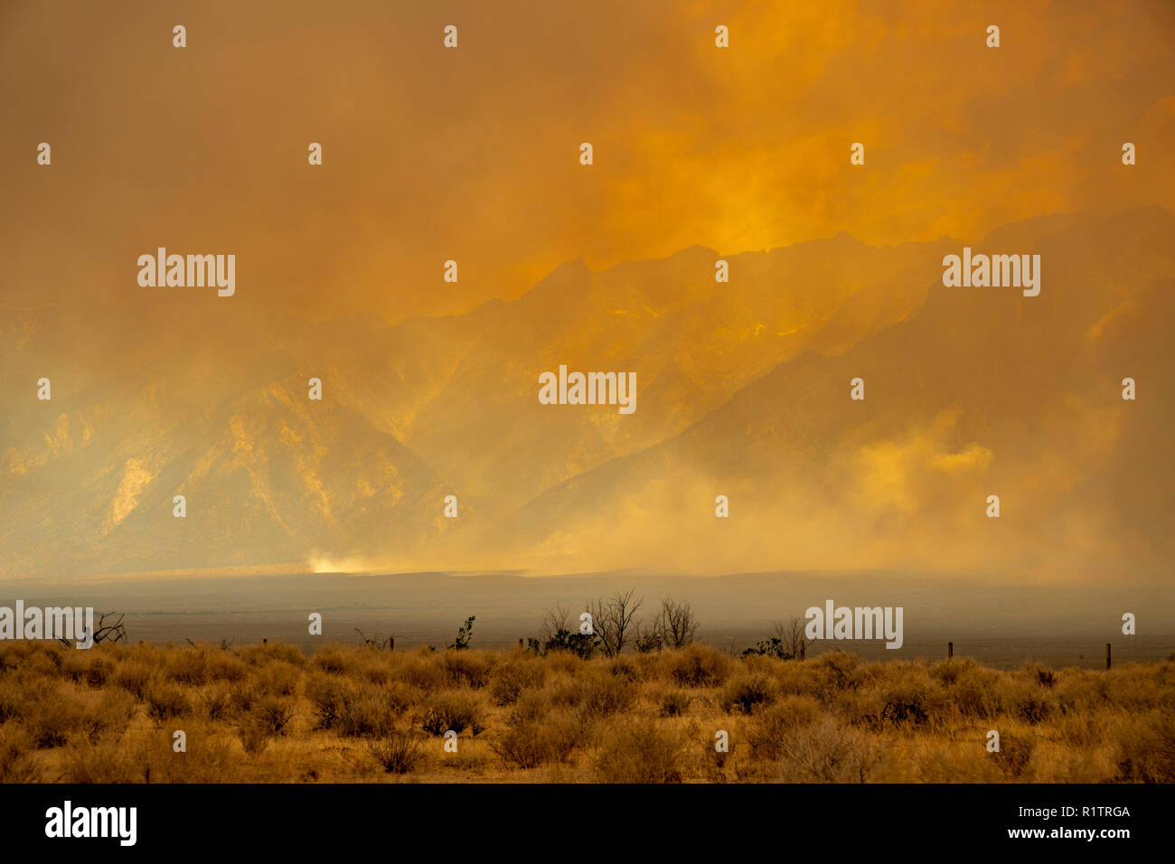 A raging wildfire rips through the Sierra Nevada mountains in California, turning the sky into a blaze of orange smoke Stock Photo