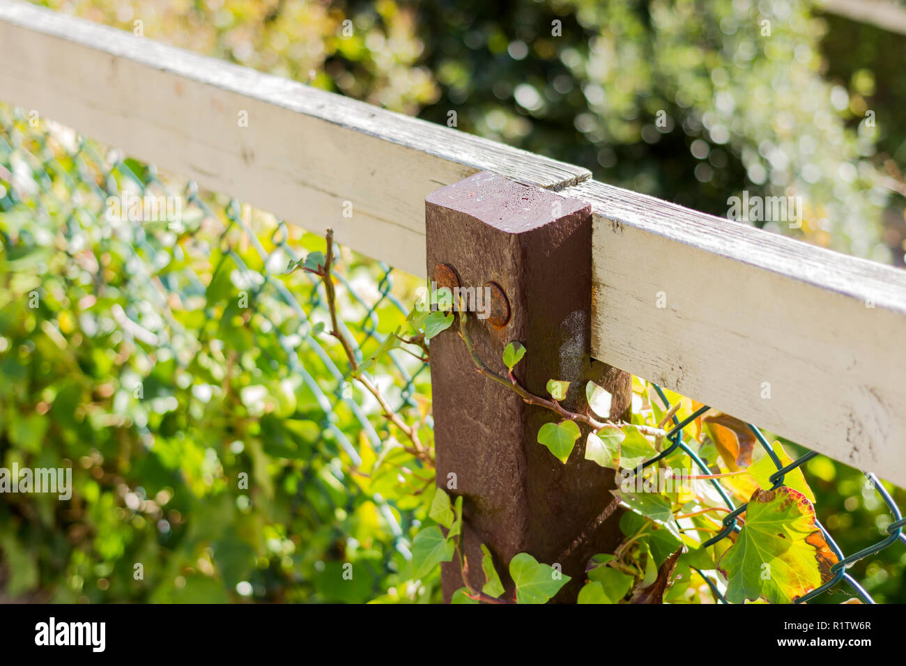 Closeup of a chain link fence with painted wooden post, UK Stock Photo -  Alamy