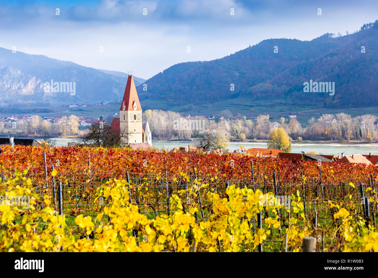 Weissenkirchen. Wachau valley. Lower Austria. Autumn colored leaves and vineyards on a sunny day. Stock Photo