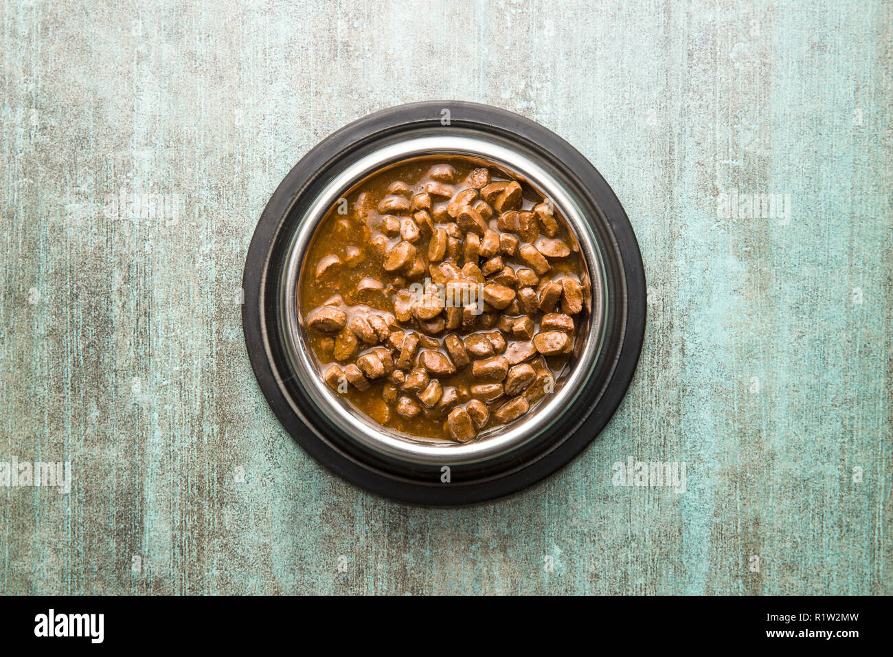 Meal for dog or cat. Canned meat with sauce in bowl. Stock Photo