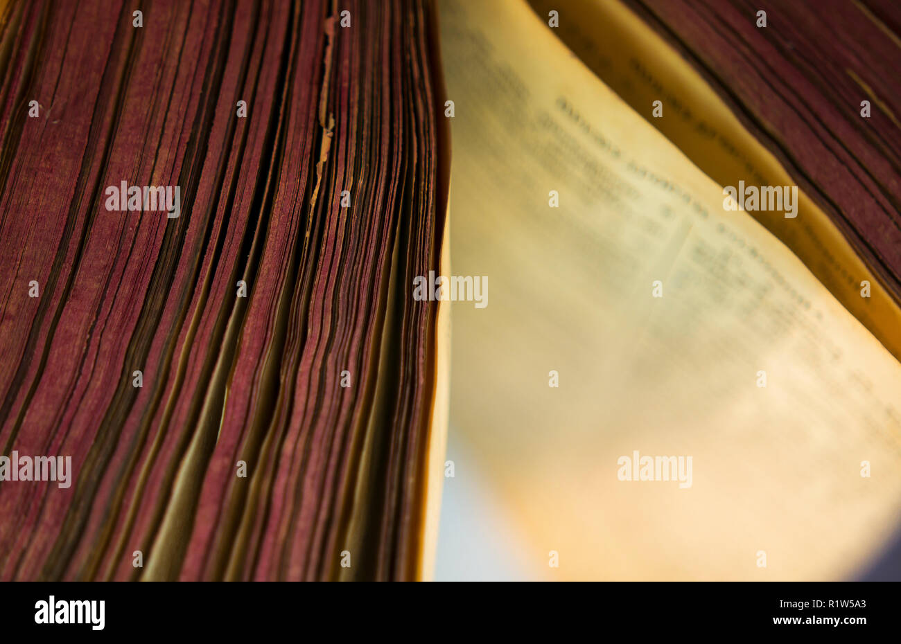 The open old bible book. Stock Photo