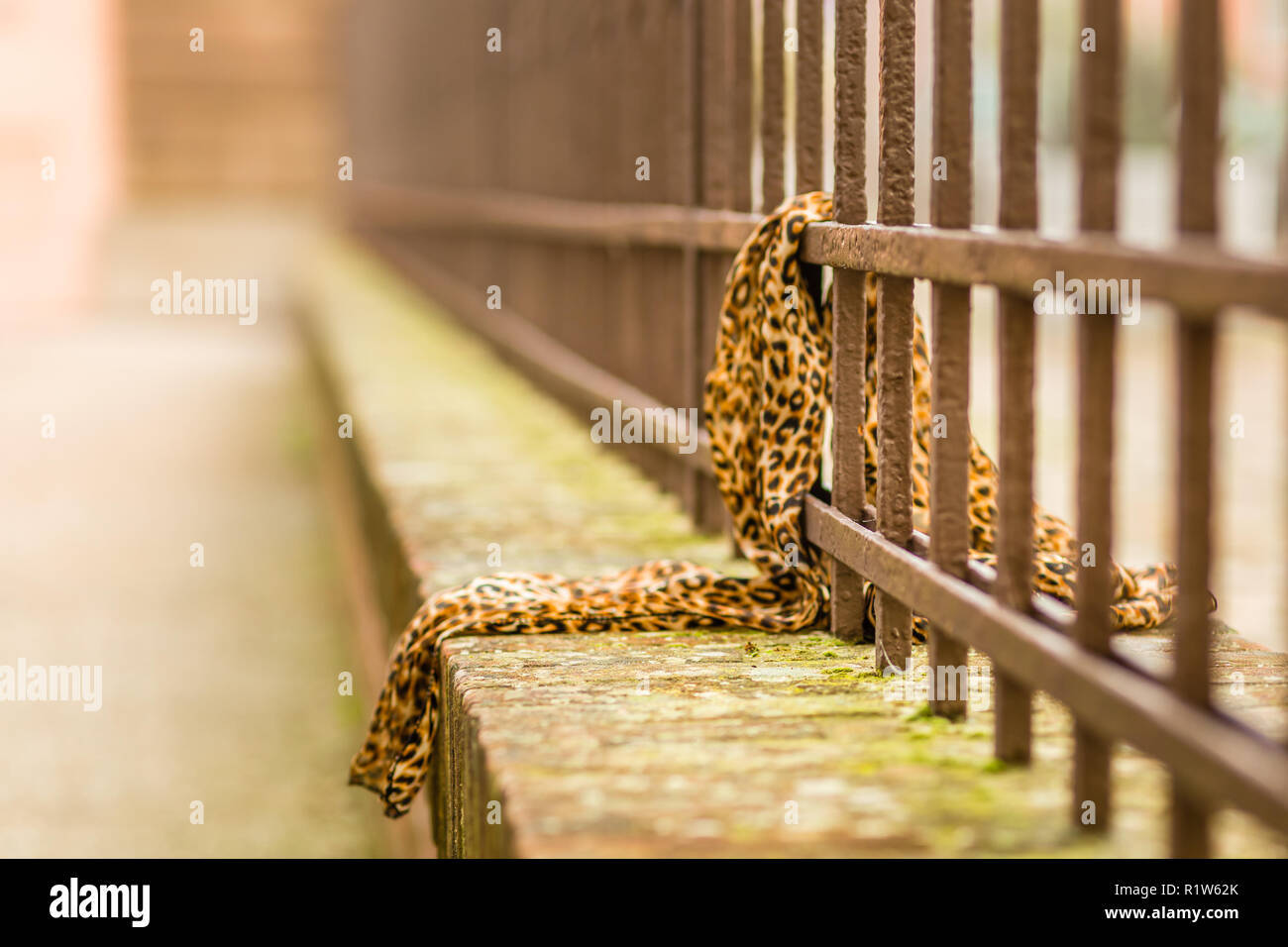 Leopard scarf left on an ancient iron railing Stock Photo