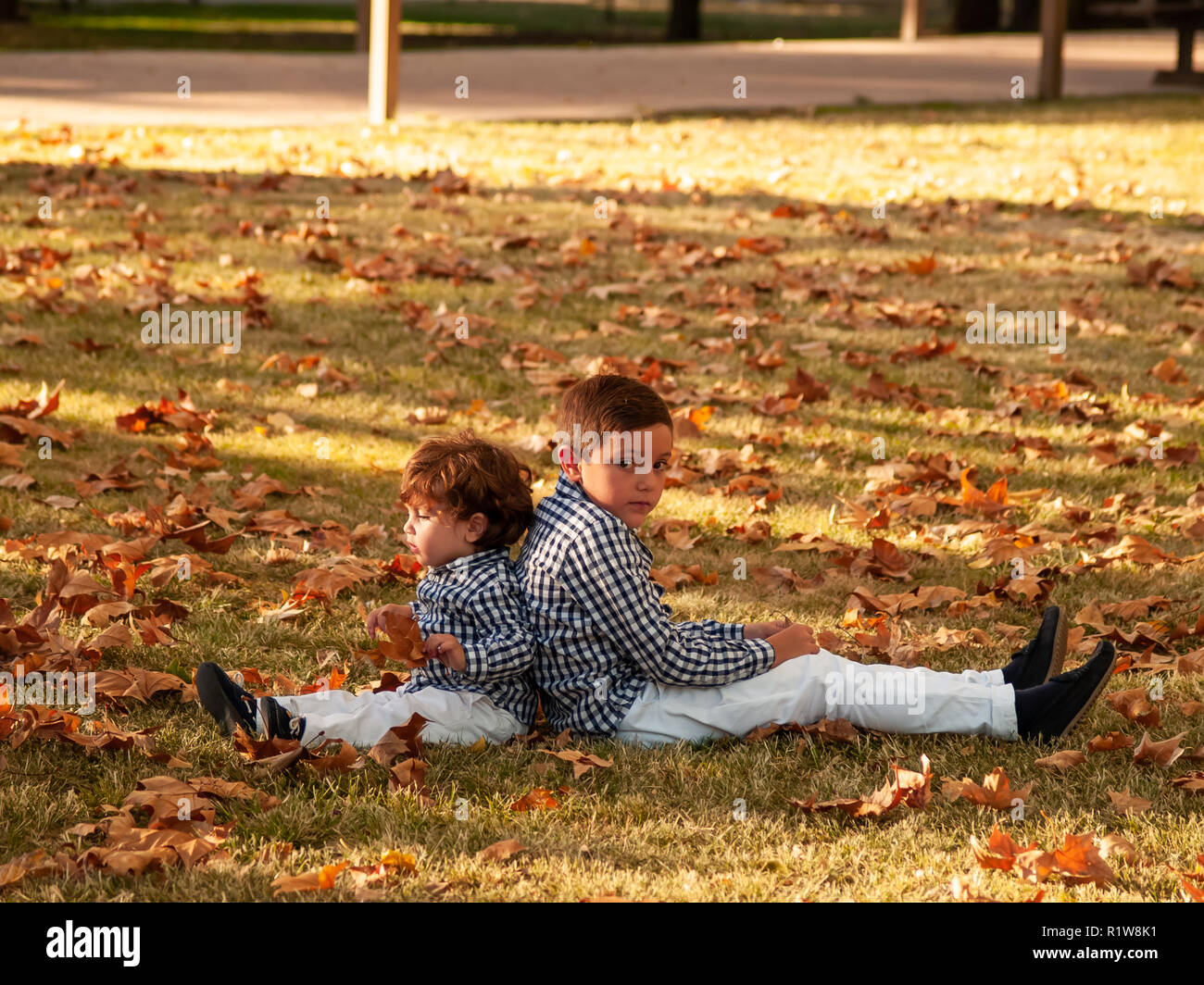 Two brother boys playing with the leaves of the trees fallen on the ground in a park in autumn Stock Photo