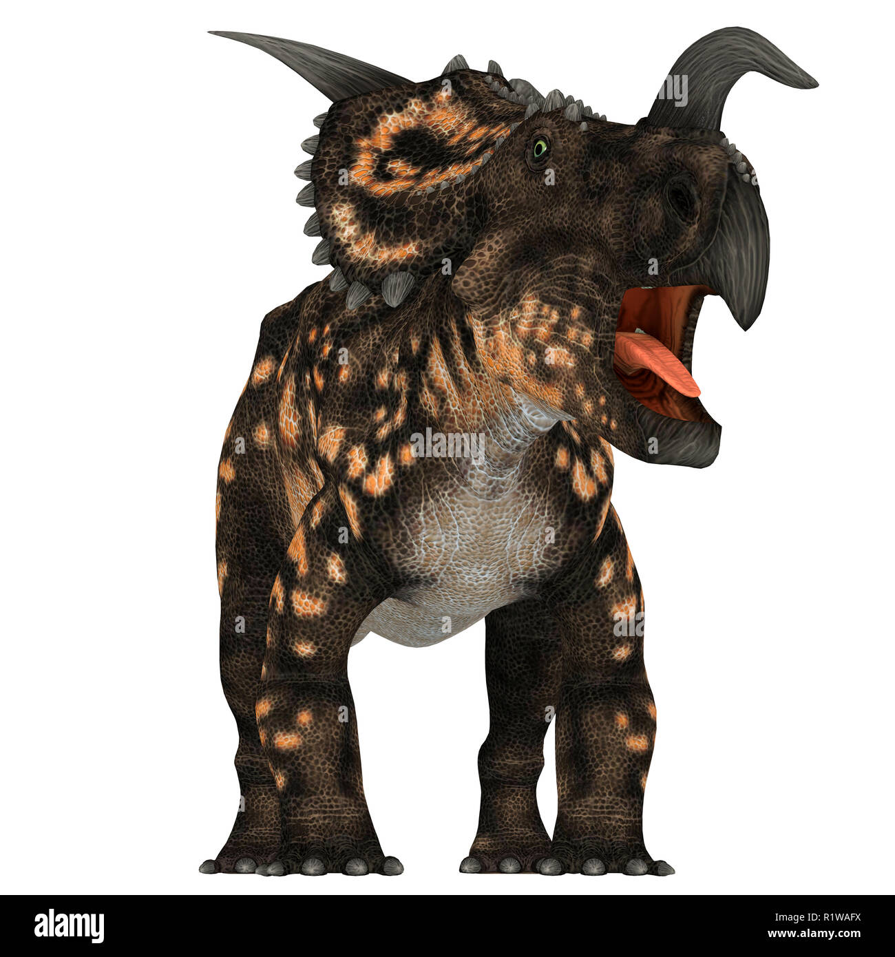 Einiosaurus was a Ceratopsian herbivore dinosaur that lived during the Cretaceous Period in North America. Stock Photo
