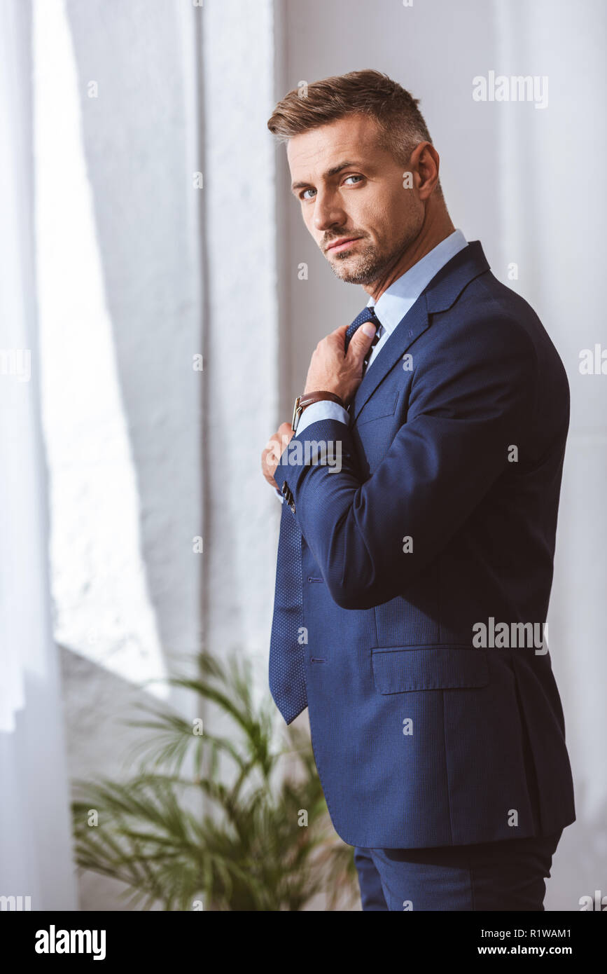 handsome man in suit wearing necktie and looking at camera Stock Photo