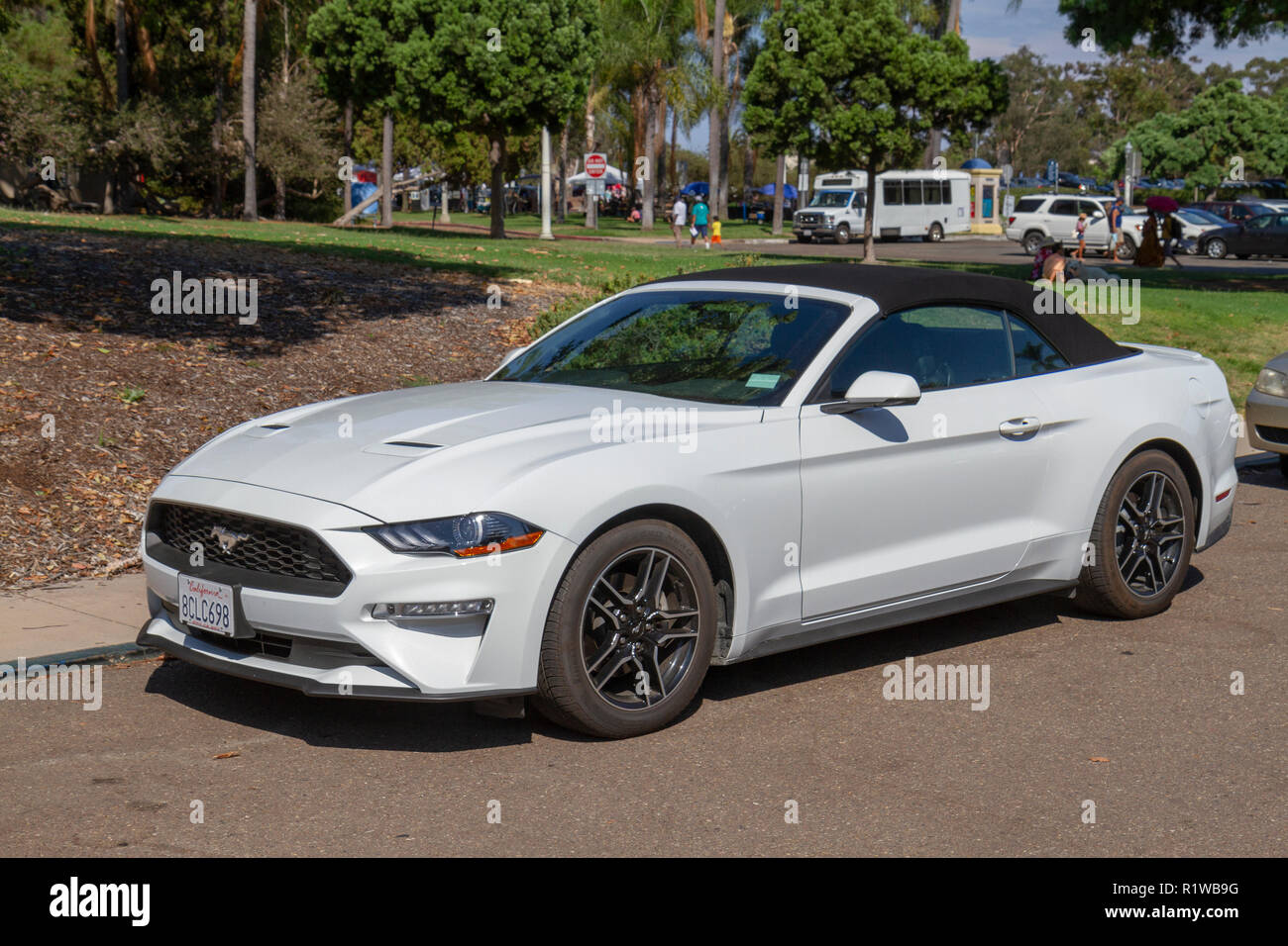 White mustang in park hi-res stock photography and images - Alamy