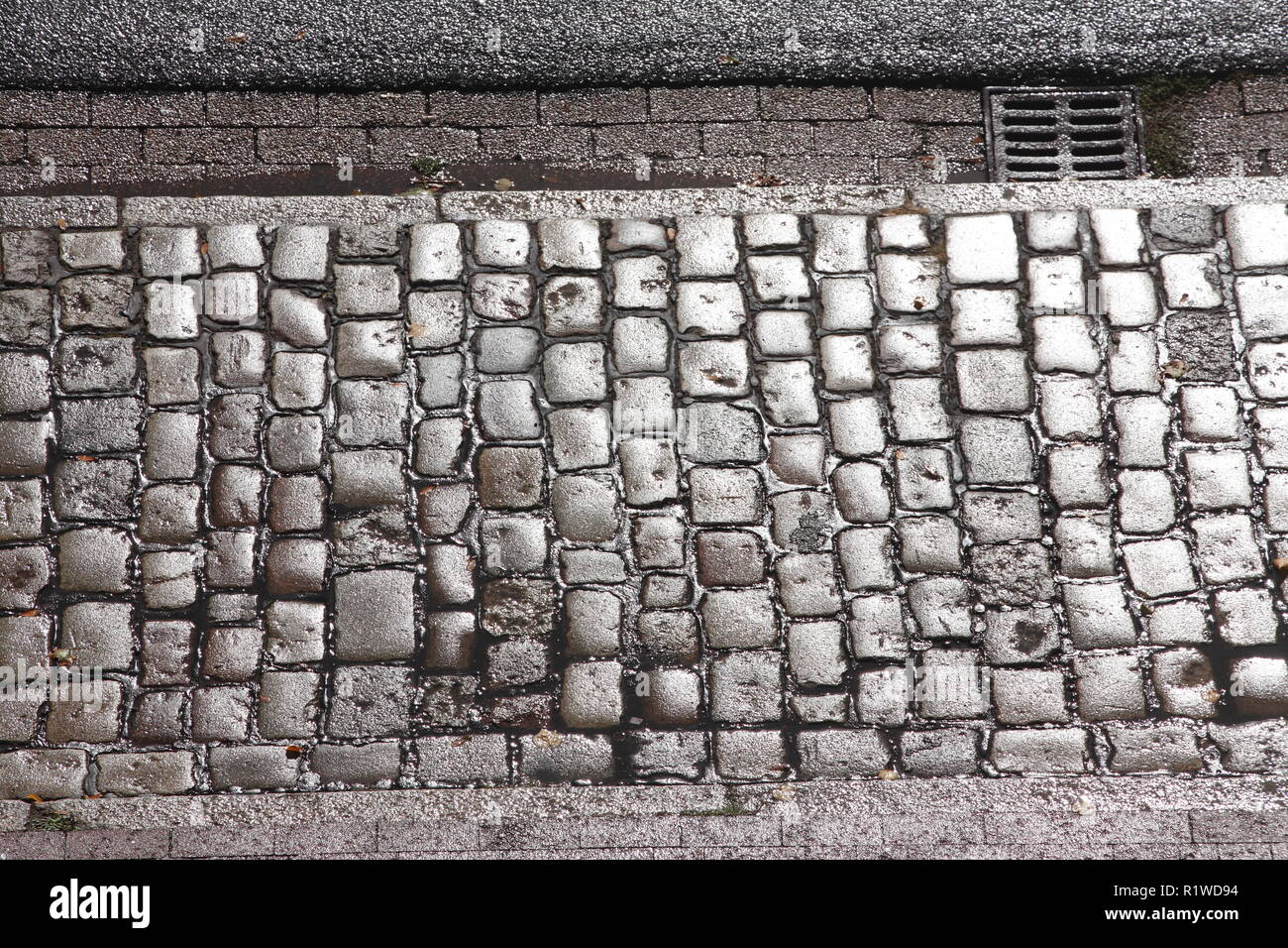 Glittering wet cobblestone pavement, Germany Stock Photo