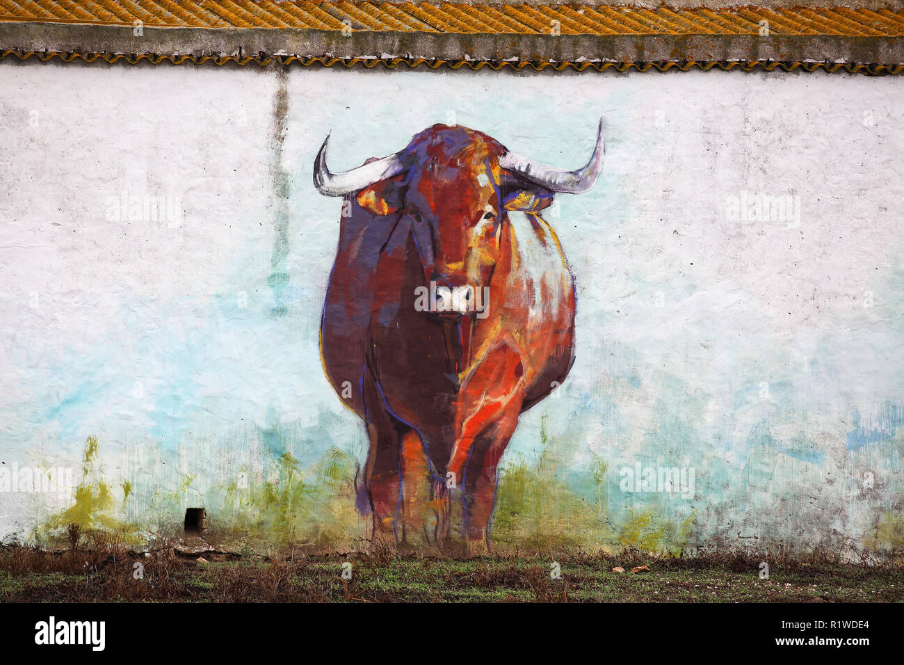 Spanish bull hires stock photography and images Alamy