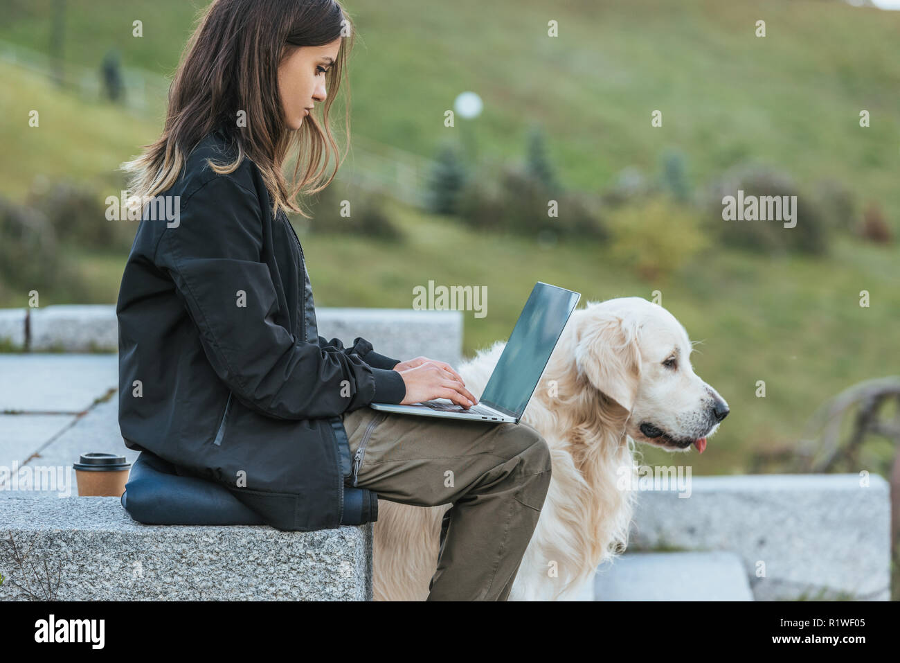 side view of freelancer using laptop while sitting with dog in park Stock Photo