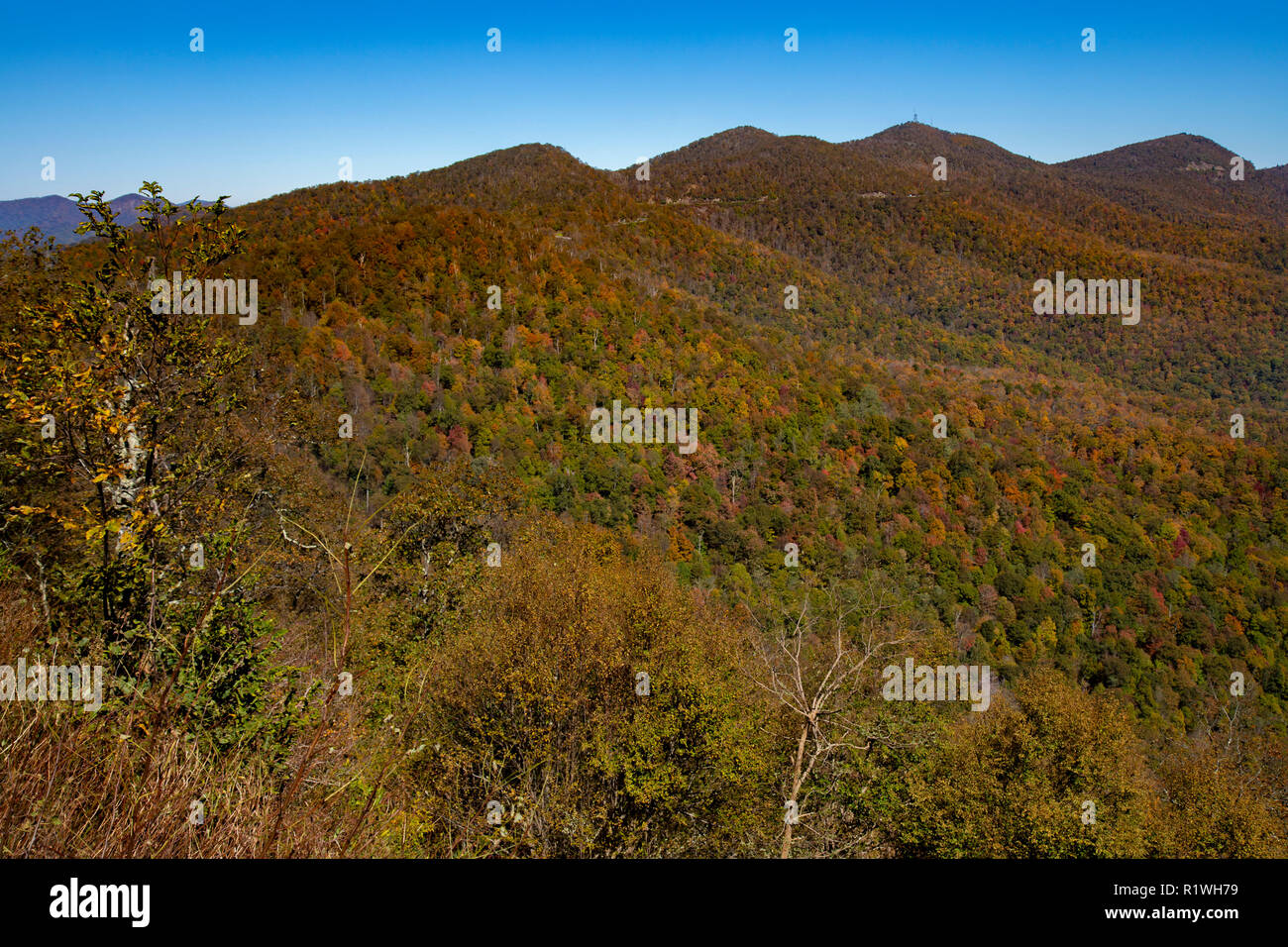 Blue Ridge Mountains in the autumn in Asheville North Carolina Stock ...