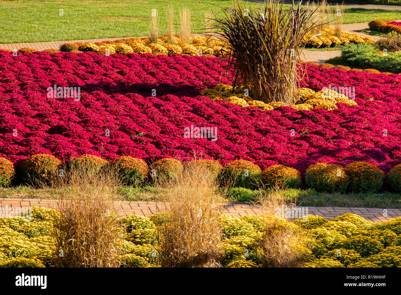 Gardens and floral blooms in the autumn at the Biltmore Estate, large private estate built by
