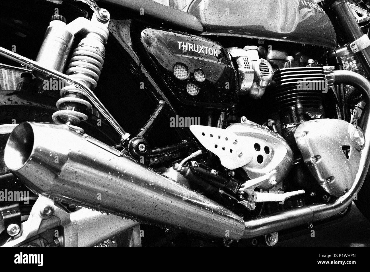 triumph thruxton motorcycle Stock Photo