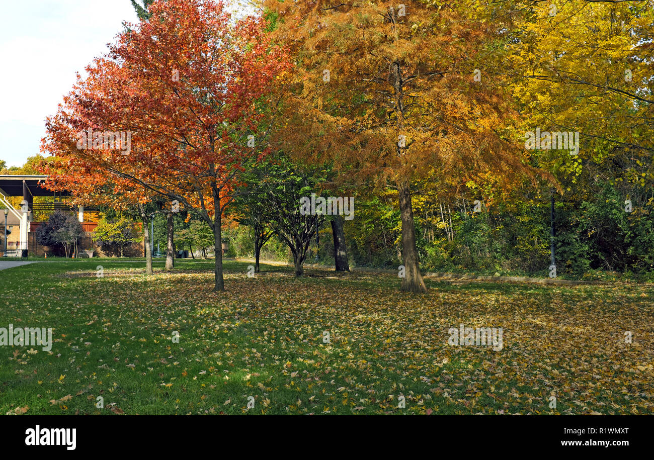 Cain Park in Cleveland, Ohio, USA shows off its autumn foliage colors as the fall season progresses in this suburban park. Stock Photo