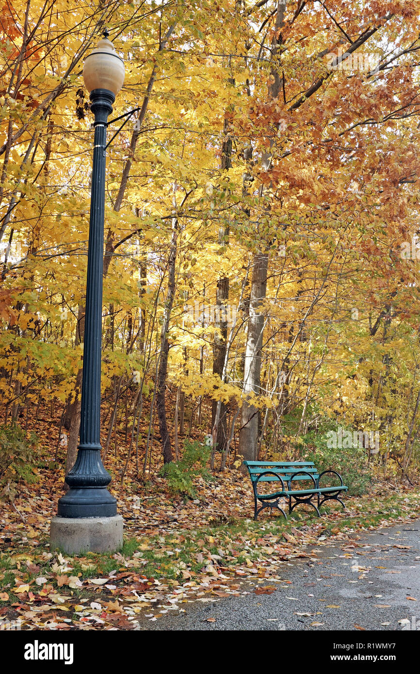 Lamp post and an empty green park bench surrounded by autumn fallen leaves in Cain Park in Ohio is illuminated by the yellow and orange leafed trees. Stock Photo