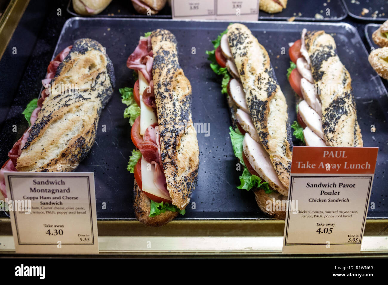 London England,UK,United Kingdom Great Britain,South Kensington,PAUL