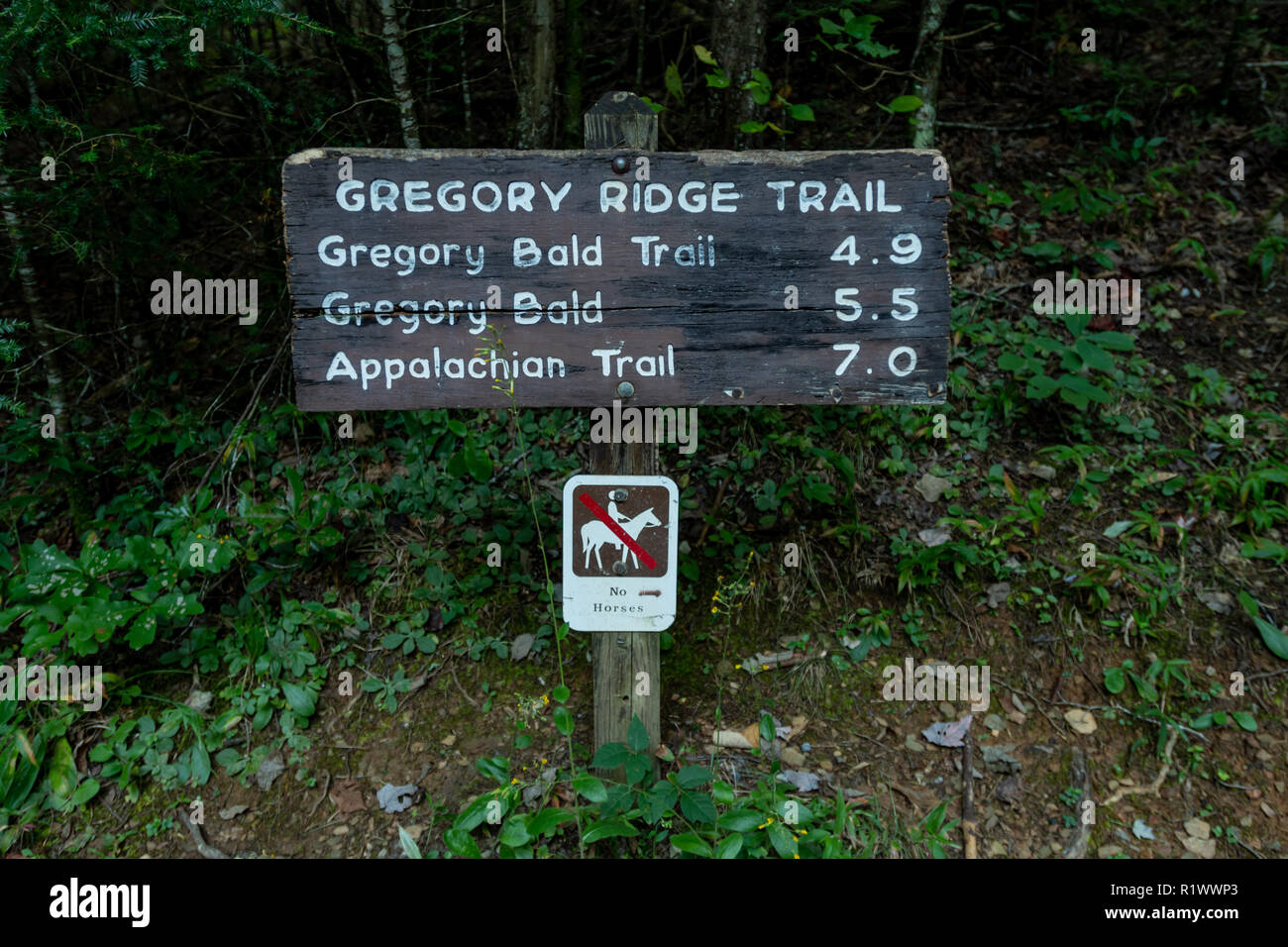 Gregory Ridge Trail Sign at Trailhead in Cades Cove Stock Photo Alamy