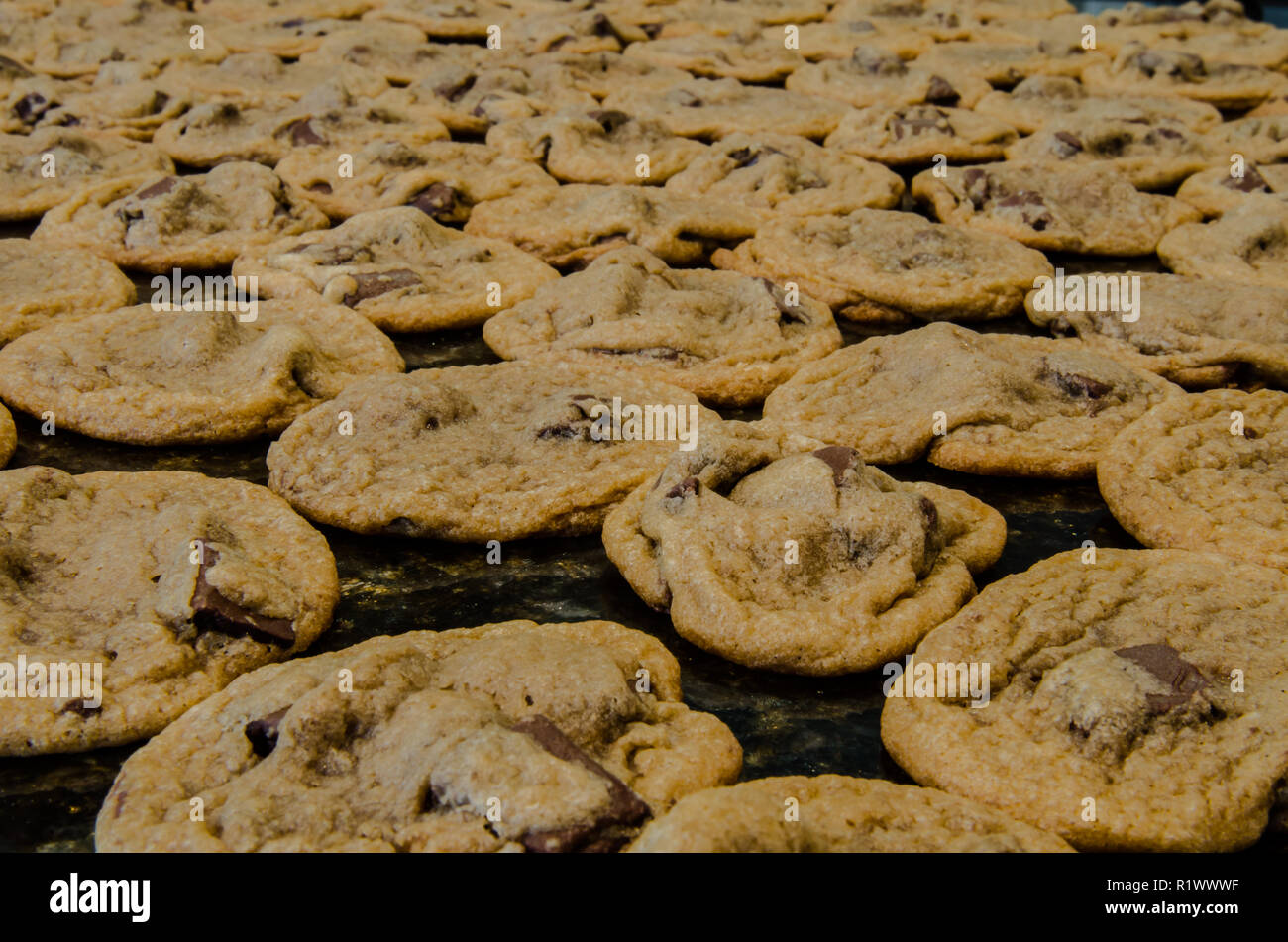 Homemade Chocolate Chip Cookies Spread Out To Cool On A Granite