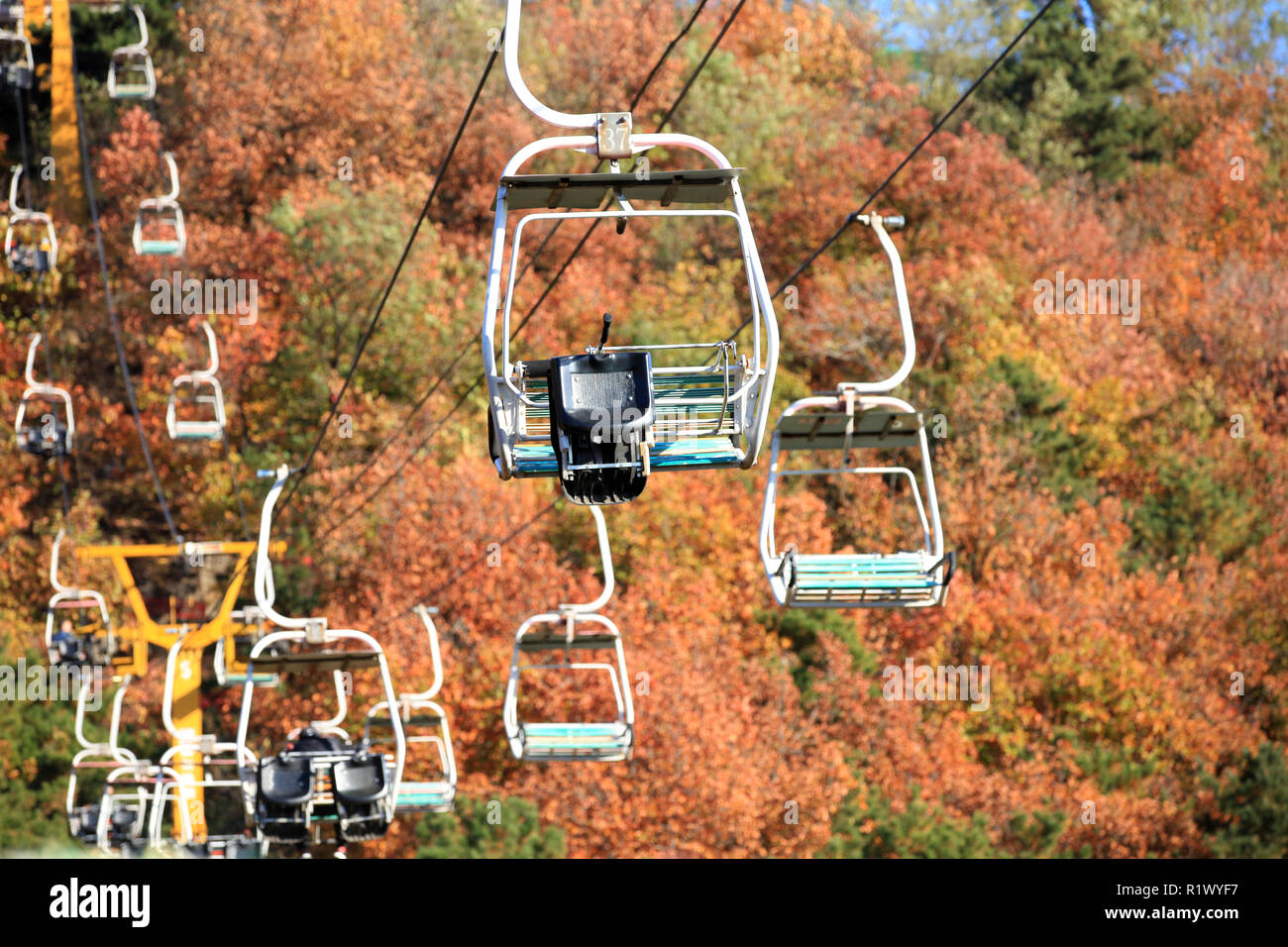 Cable car on ropeway leading Stock Photo - Alamy