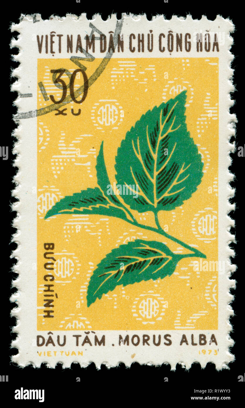 Postage stamp from Vietnam in the Industrial Plants series issued in 1974 Stock Photo