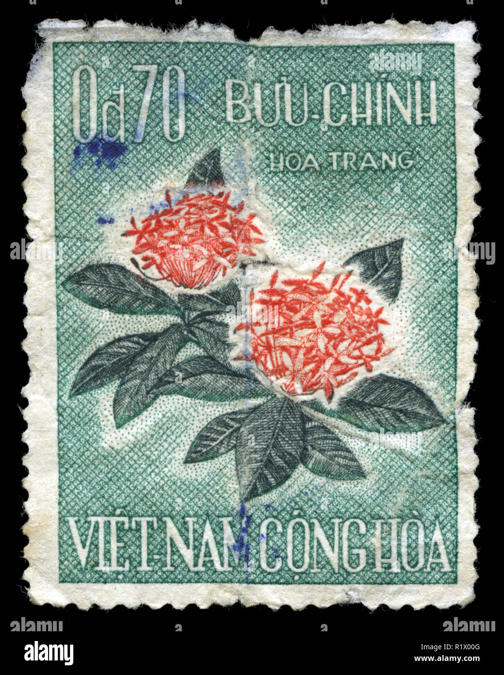 Postage stamp from Vietnam in the Flowers series issued in 1967 Stock ...