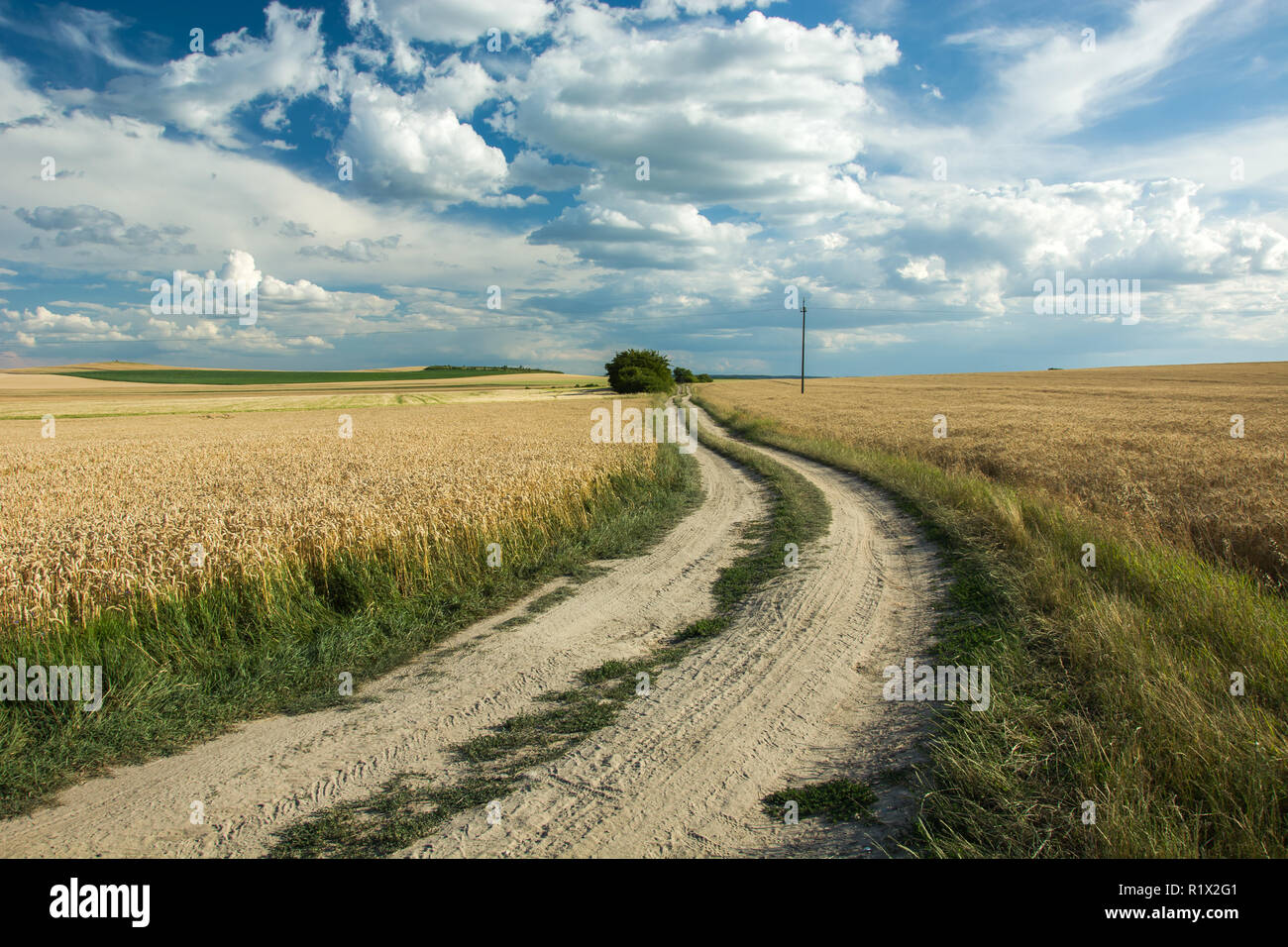 Dirt Road Through The Fields And A Lonely Tree   A Royalty Free Stock