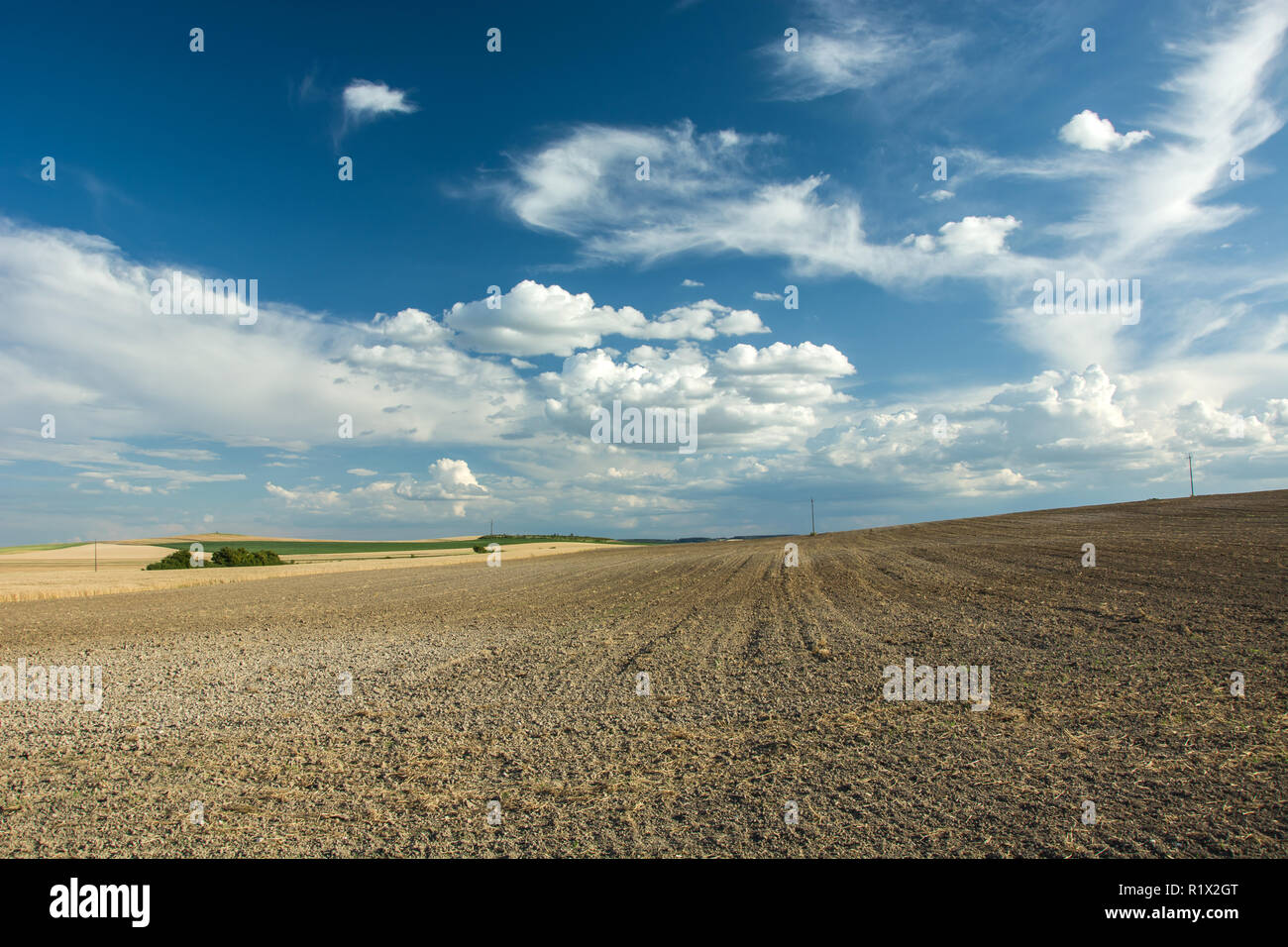 Huge plowed field, horizon and white clouds on blue sky Stock Photo