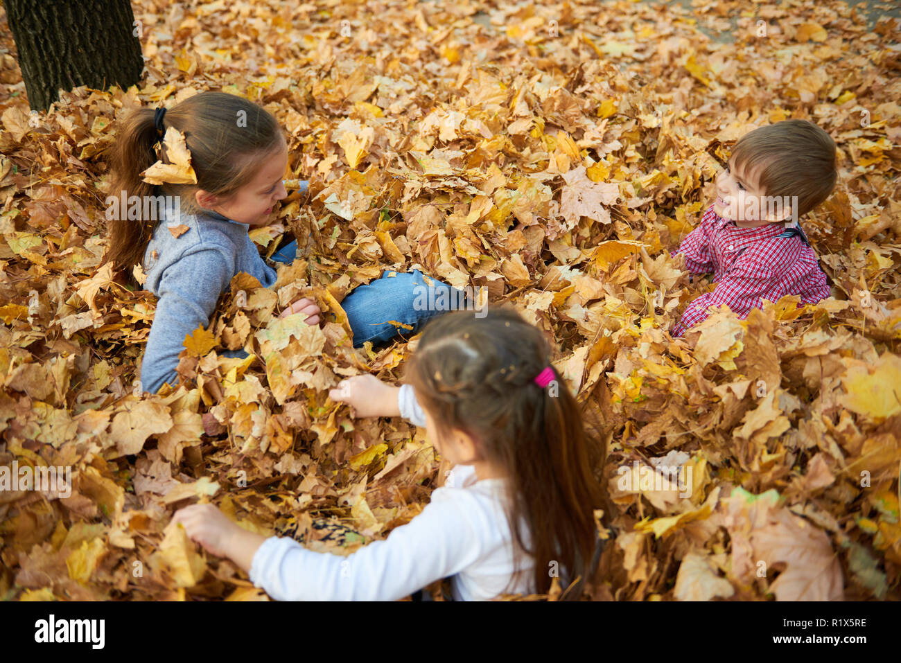 Children are lying and playing on fallen leaves in autumn city park ...