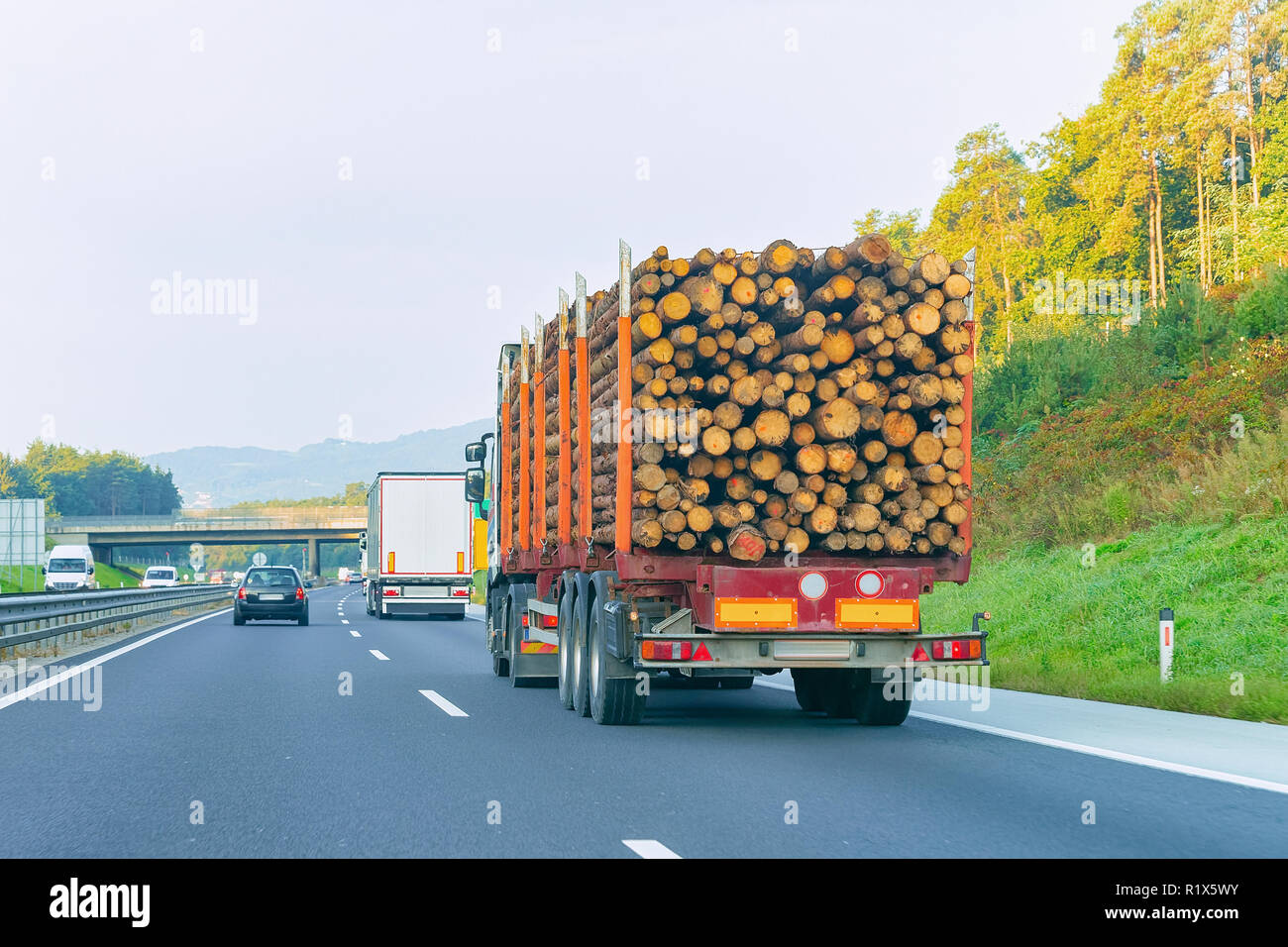 Wood carrier vessel in the highway road of Poland. Lorry transport