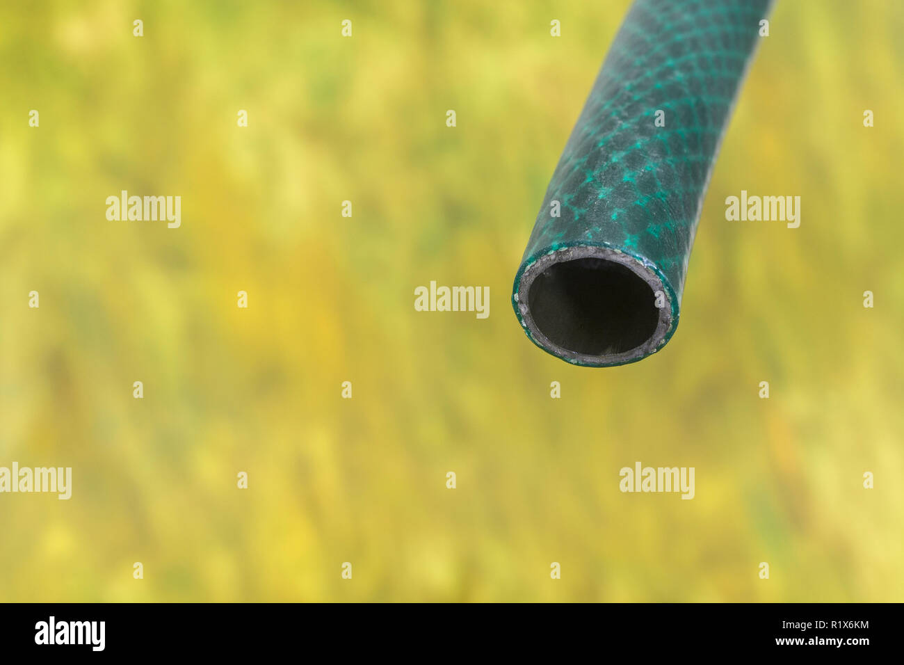 Plastic garden hosepipe / PVC hose pipe against dried garden vegetation