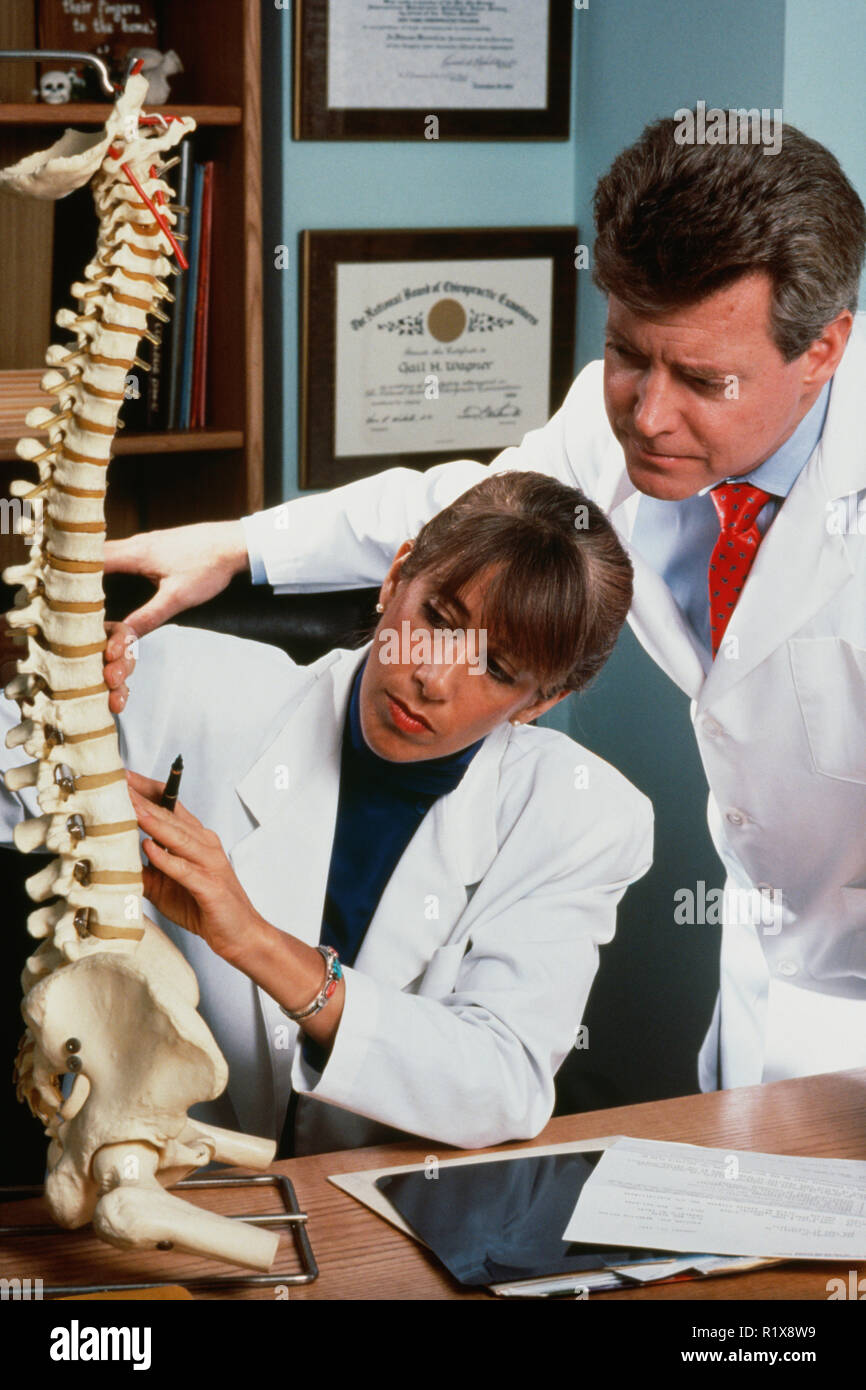 Chiropractors Discussing a Spine model, USA Stock Photo Alamy