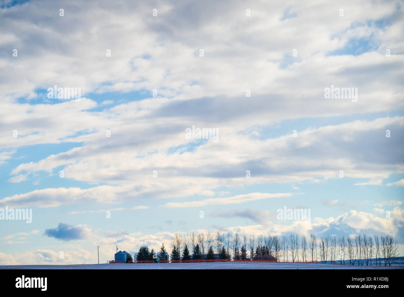 farmhouse landscape in winter with trees and a cloudy sky Stock Photo ...