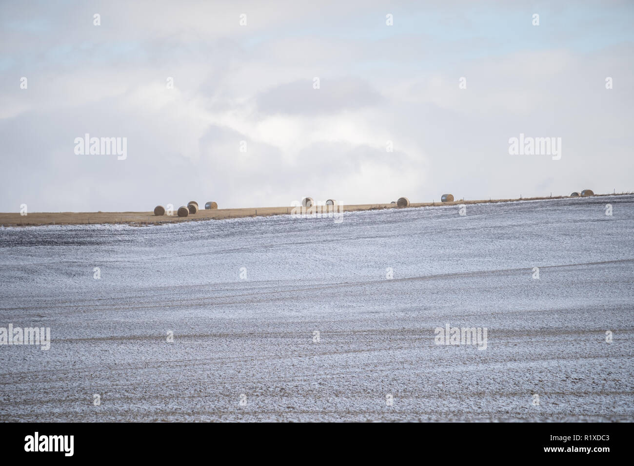 farmhouse landscape in winter with trees and a cloudy sky Stock Photo ...