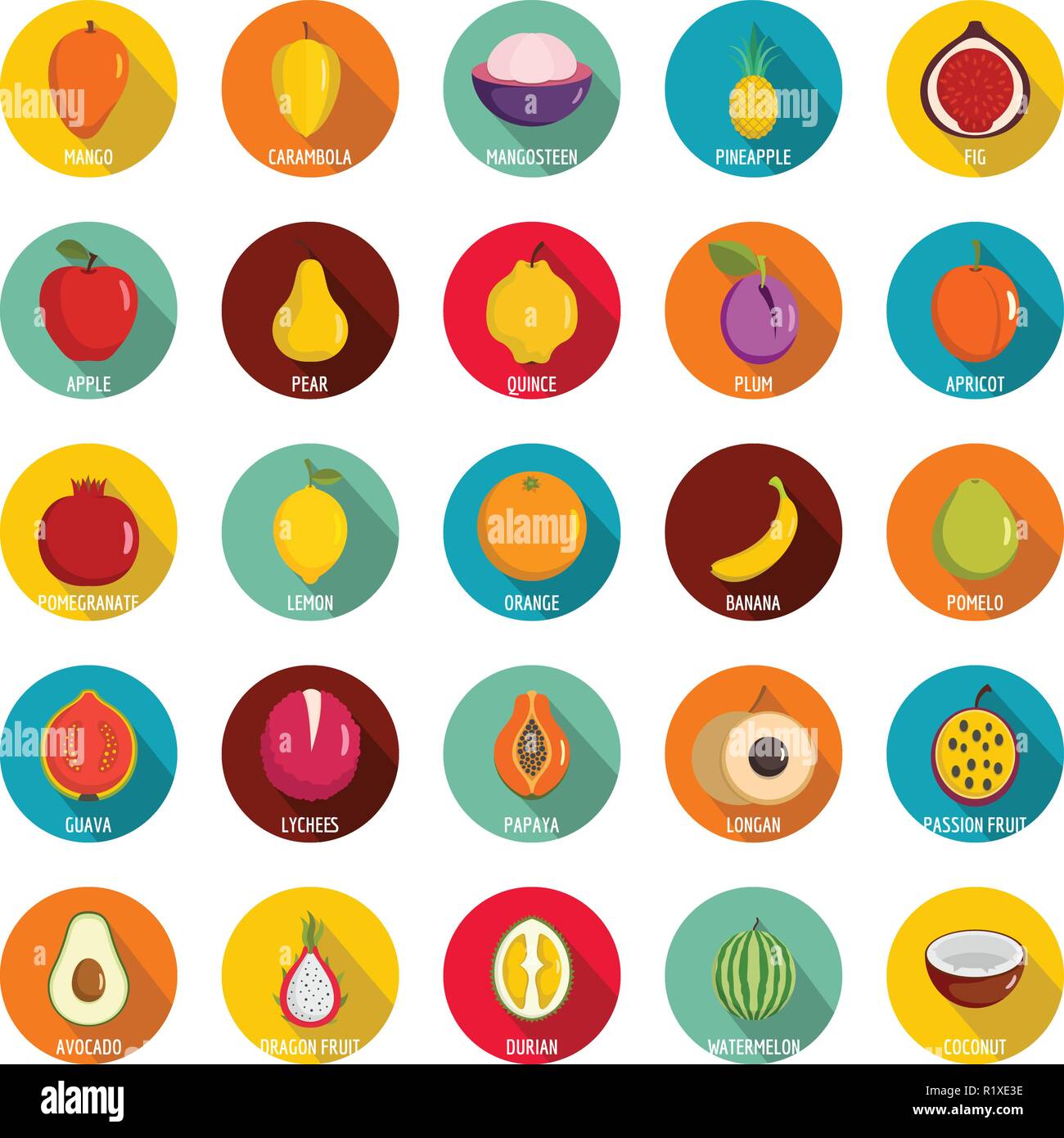 Fruits icons set. Flat illustration of 25 fruits vector icons circle ...
